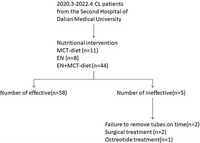 The application of a medium-chain fatty diet and enteral nutrition in post-operative chylous leakage: analysis of 63 patients